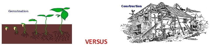 Germination vs construction