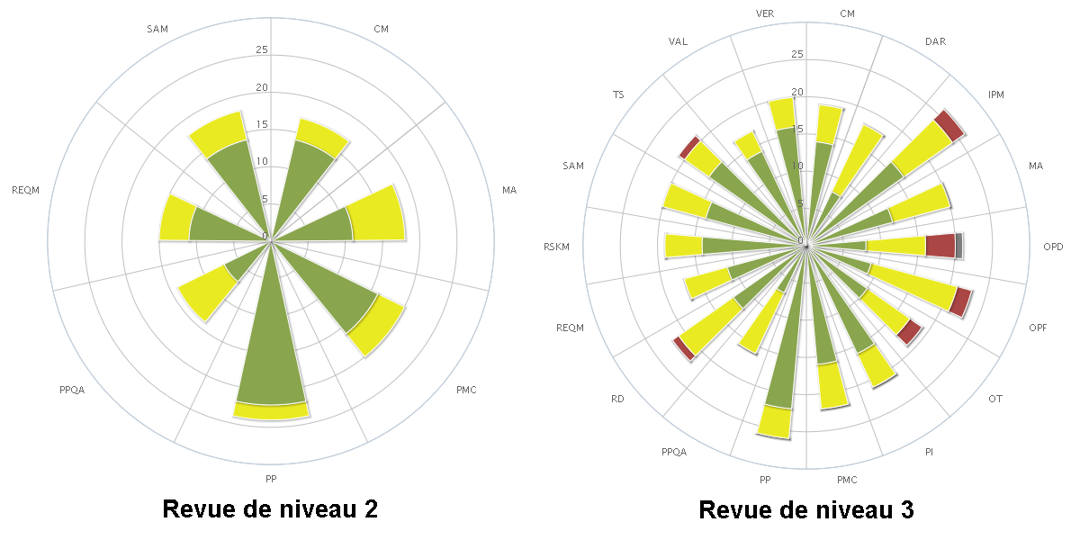 Exemples de revue CMMi de niveau 2 et 3 sous Kalisseo