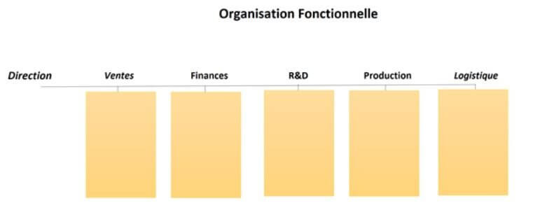 organisation fonctionnelle définition