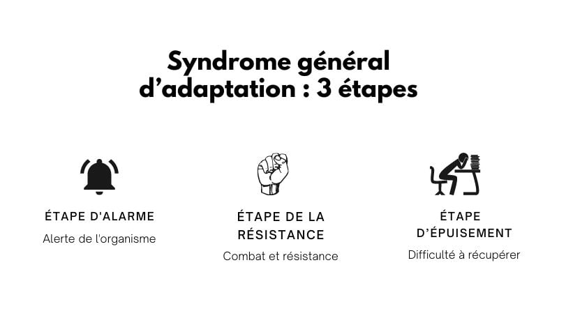 Syndrome général d’adaptation 3 étapes