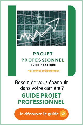 Guide Projet Professionnel