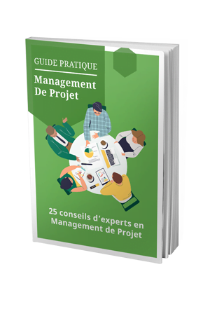 Guide du Chef de Projet