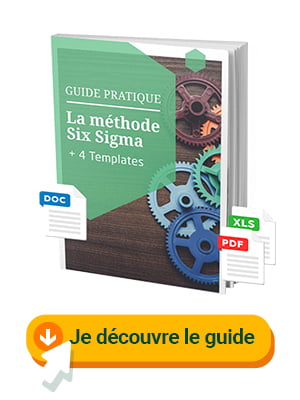 Le Guide du Six Sigma Le Guide du Six Sigma