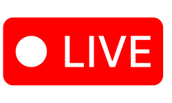 live zoom call