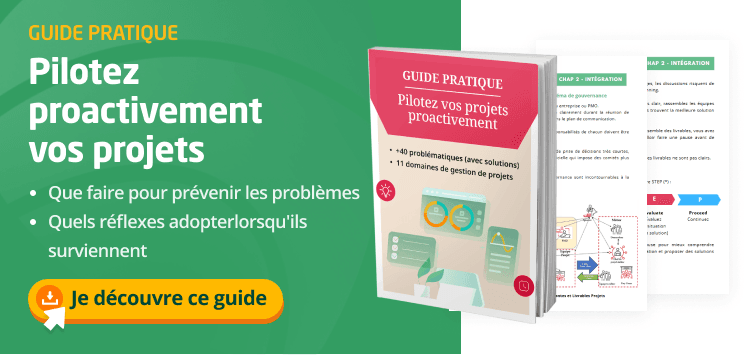 guide problématiques gestion projet guide problématiques gestion projet