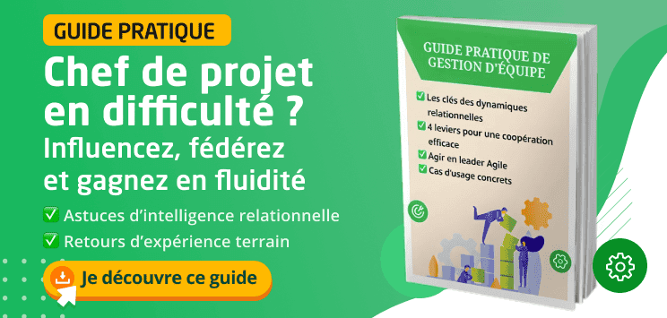 guide gestion équipe projet et transverse guide gestion équipe projet et transverse